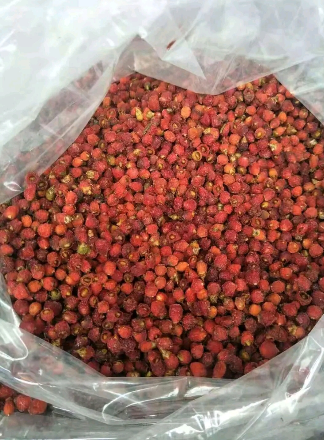 红豆杉果